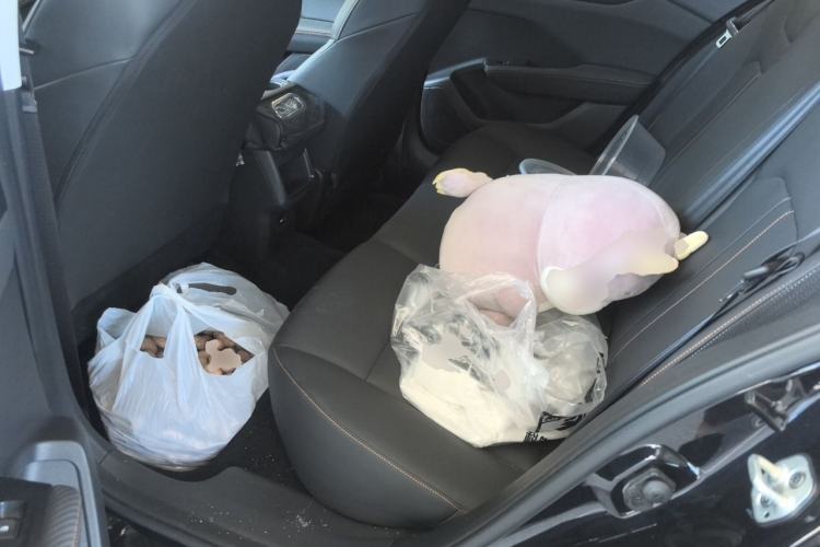 Used Dongfeng Aeolus Yixuan 2024 1.5L Automatic JingSu Edition Left Rear Seat