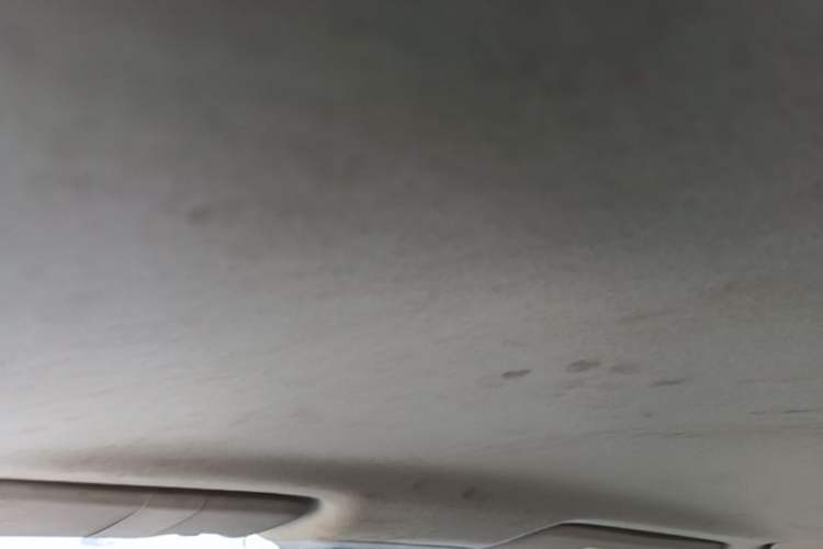 Used Dongfeng Aeolus Yixuan 2024 1.5L Automatic JingSu Edition Headliner