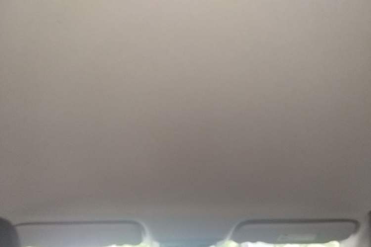 Used Dongfeng Aeolus Yixuan 2024 1.5L Automatic JingSu Edition Headliner