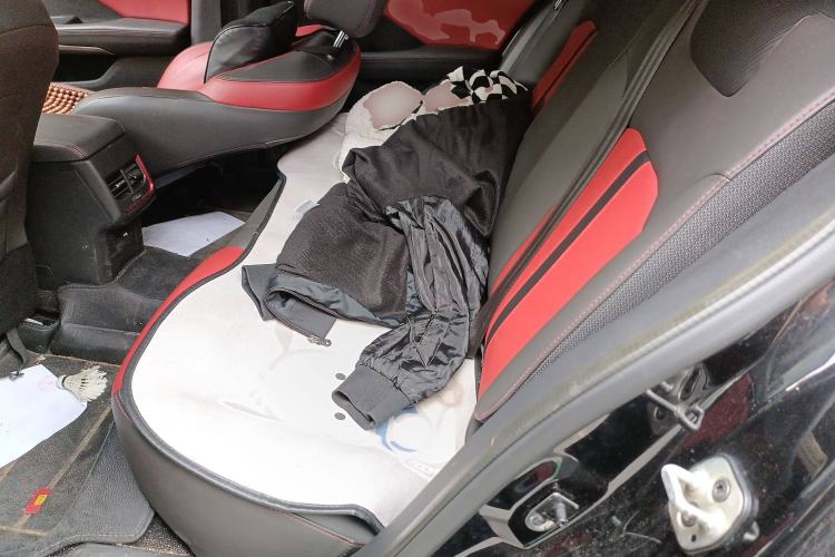 Used Dongfeng Aeolus Yixuan GS 2021 230T Automatic Star-Chasing Edition Left Rear Seat