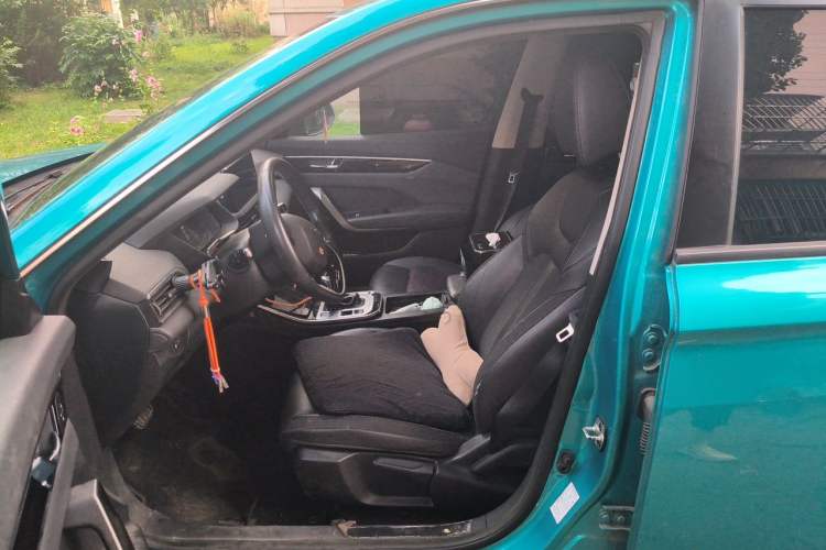 Used Dongfeng Aeolus Yixuan GS 2020 230T Automatic Yueyu Version Left Front Seat