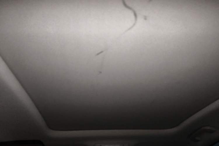 Used Dongfeng Aeolus Yixuan GS 2020 230T Automatic Cool Edition Headliner