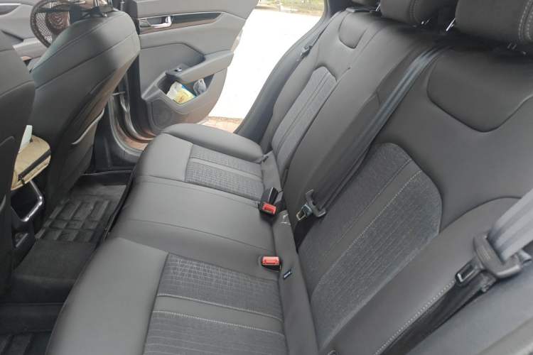 Used Dongfeng Aeolus Yixuan GS 2020 230T Automatic Yueyu Version Left Rear Seat