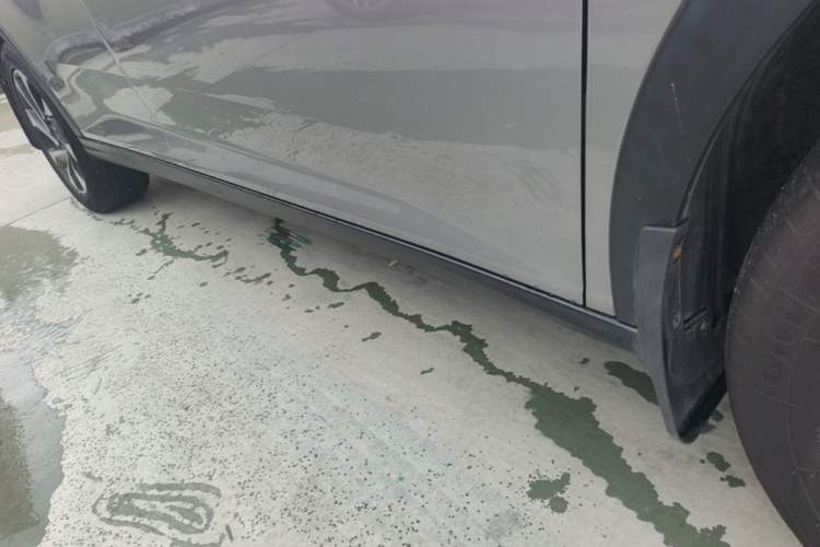 Used Dongfeng Aeolus Yixuan GS 2020 230T Automatic Yueyu Version Right Side Sill