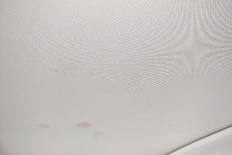 Used Dongfeng Aeolus Yixuan GS 2020 230T Automatic Cool Edition Headliner
