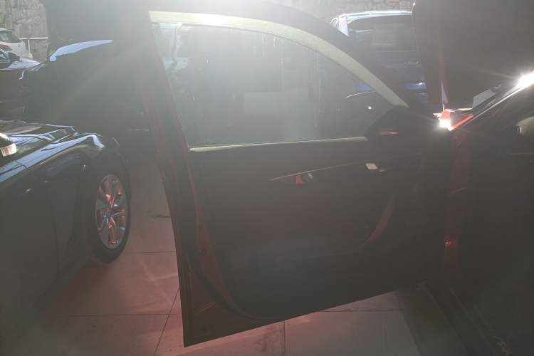 Used Dongfeng Aeolus Yixuan GS 2020 230T Automatic Cool Edition Left Front Door Interior