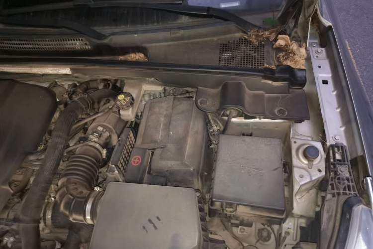 Used Dongfeng Aeolus Yixuan GS 2020 230T Automatic Cool Edition Engine Bay Left