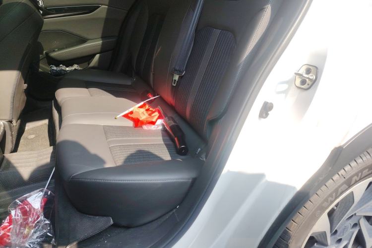 Used Dongfeng Aeolus Yixuan GS 2020 230T Automatic Yueyu Version Left Rear Seat