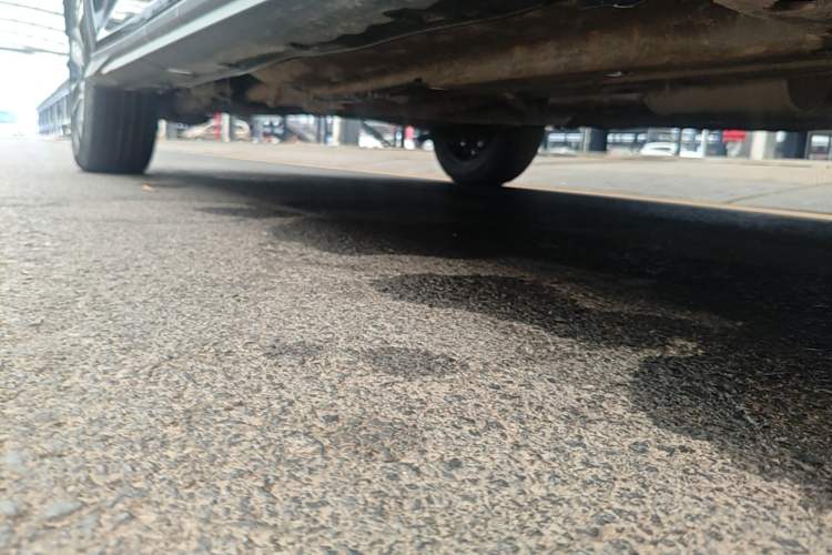 Used Dongfeng Aeolus Yixuan GS 2021 230T Automatic Zuiyao Wushu Edition Right Side Sill