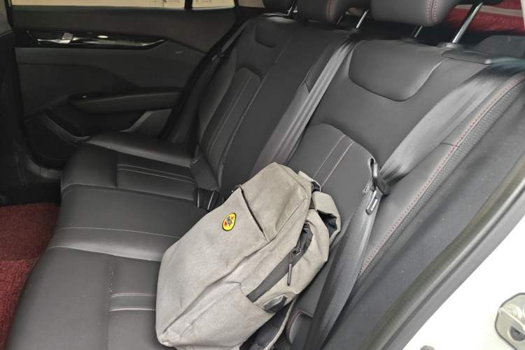 Used Dongfeng Aeolus Yixuan GS 2021 230T Automatic Star-Chasing Edition Left Rear Seat