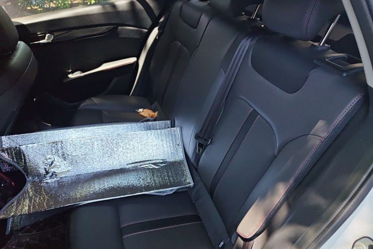 Used Dongfeng Aeolus Yixuan GS 2021 230T Automatic Star-Chasing Edition Left Rear Seat