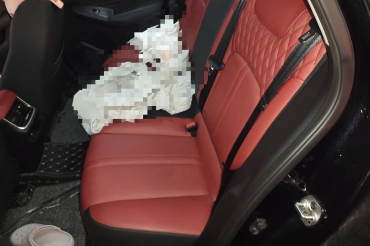 Used Dongfeng Aeolus Yixuan MAX 2021 1.5T Ultra-Stylish Trendsetter Edition Left Rear Seat