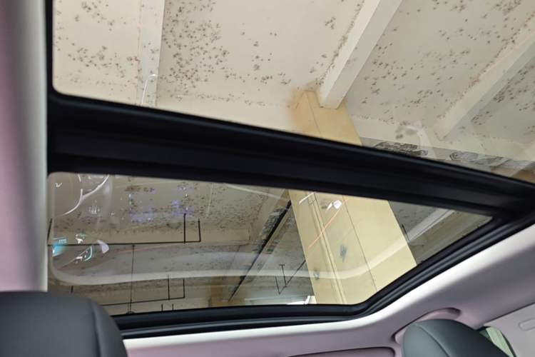 Used Dongfeng Aeolus Yixuan MAX 2021 1.5T Super-Powered Dad Edition Headliner