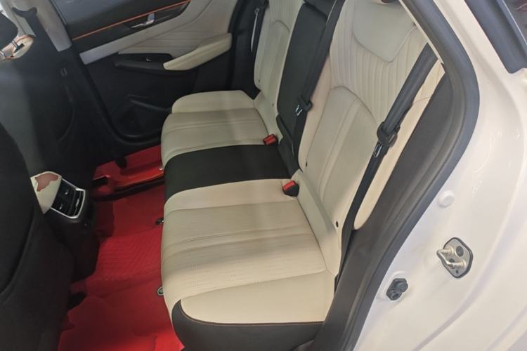 Used Dongfeng Aeolus Yixuan MAX 2021 1.5T Super Cool Trendy Dad Edition Left Rear Seat