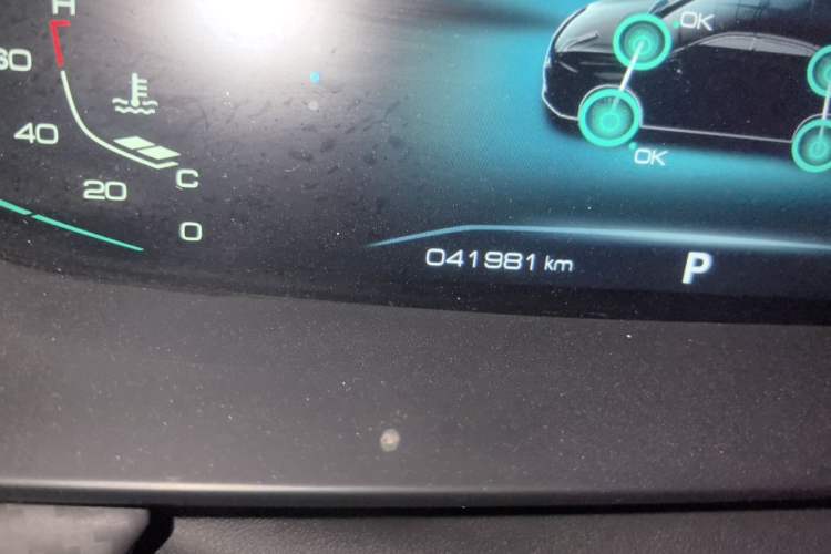 Used Dongfeng Aeolus Yixuan MAX 2021 1.5T Super-Powered Dad Edition Odometer Close Up