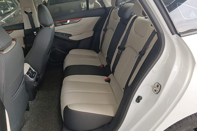 Used Dongfeng Aeolus Yixuan MAX 2023 1.5T Super Cool Trendy Dad Edition Left Rear Seat