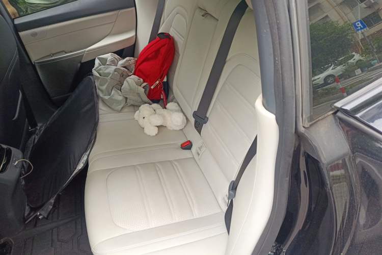 Used Dongfeng eπ eπ007 2024 620 Pro Version Left Rear Seat