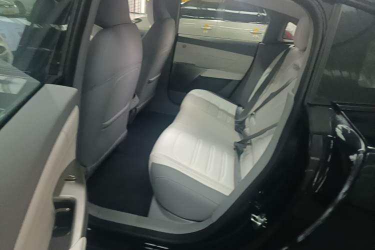Used Dongfeng eπ eπ007 2024 620 Pro Version Left Rear Seat