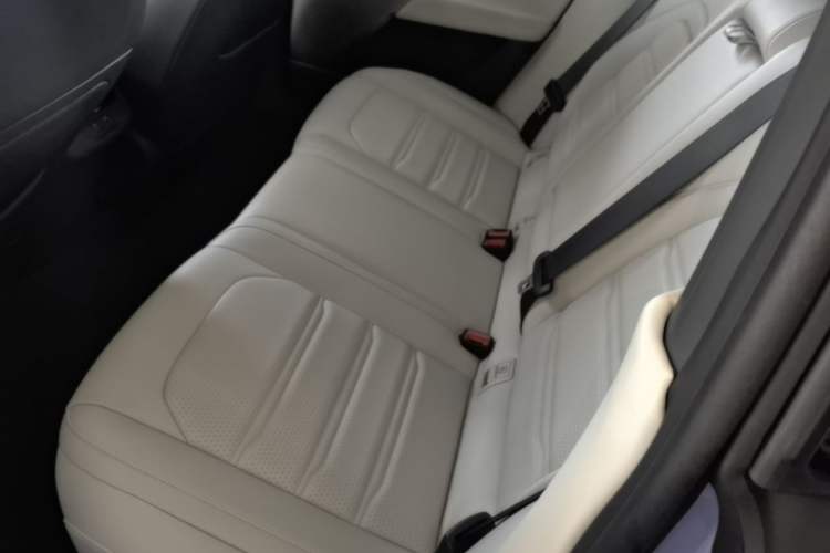 Used Dongfeng eπ eπ007 2024 530 Pro Version Left Rear Seat