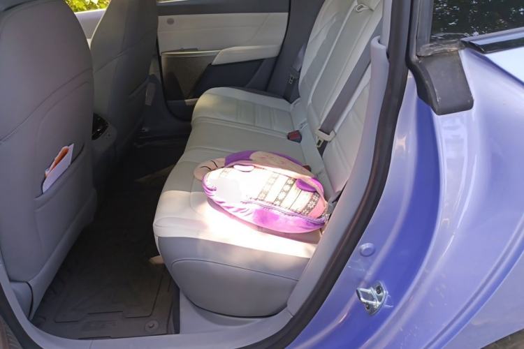 Used Dongfeng eπ eπ007 2024 620 Pro Version Left Rear Seat