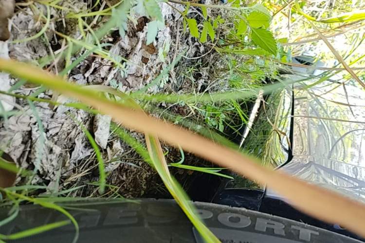 Used Dongfeng eπ eπ007 2024 530 Pro Version Right Side Sill
