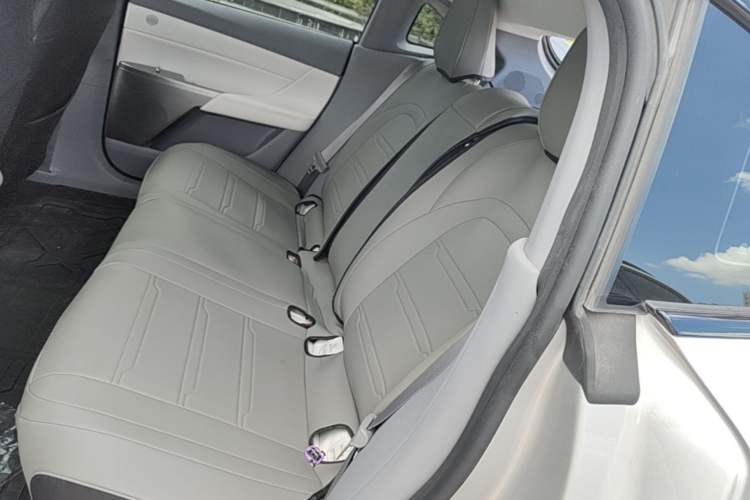 Used Dongfeng eπ eπ007 2024 530 Pro Version Left Rear Seat