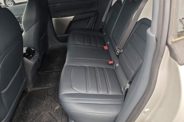 Used Dongfeng eπ eπ007 2024 530 Pro Version Left Rear Seat