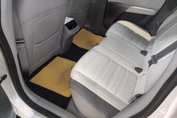Used Dongfeng eπ eπ007 2024 620 Pro Version Left Rear Seat