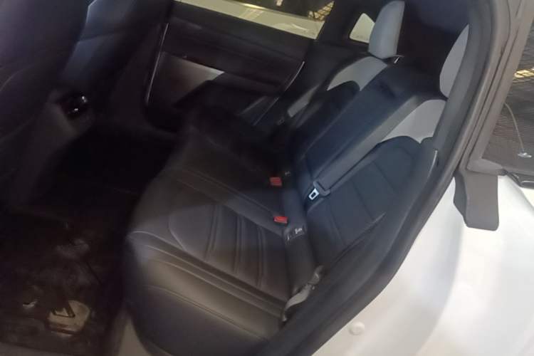 Used Dongfeng eπ eπ007 2024 530 Pro Version Left Rear Seat