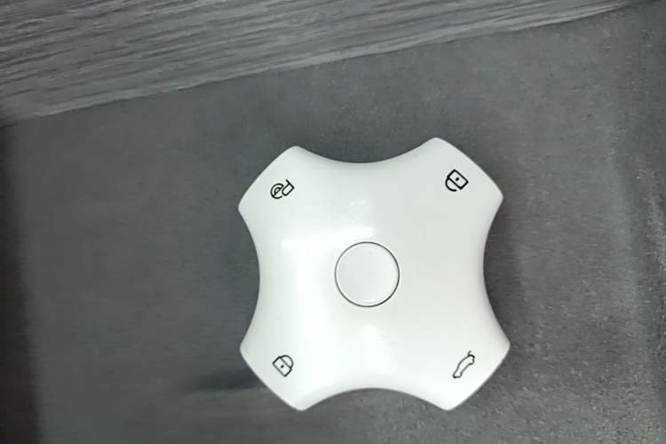 Used Dongfeng eπ eπ007 2024 530 Pro Version Vehicle Key