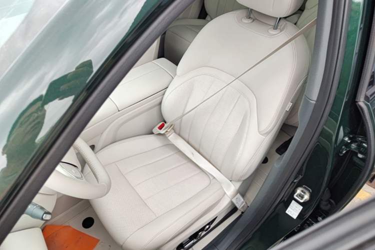 Used Dongfeng eπ eπ008 2026 Model Six-Seat Pure-Electric Family Delight Edition Left Front Seat