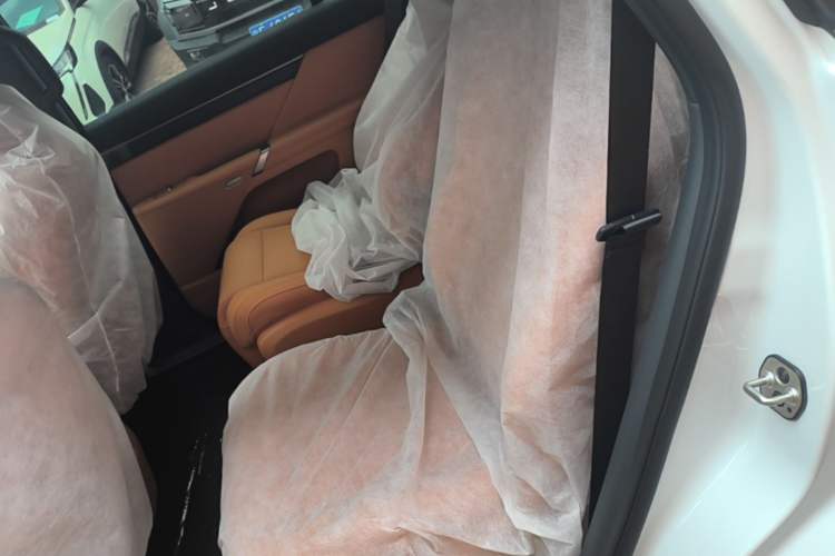 Used Dongfeng eπ eπ008 2026 Model Six-Seat Range-Extended Family Delight Edition Left Rear Seat