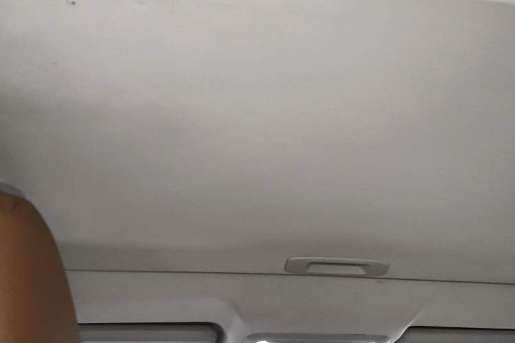 Used Dongfeng Fengdu MX5 2016 2.0L Automatic Flagship Edition Headliner