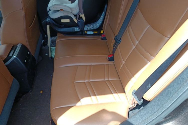 Used Dongfeng Fengdu MX5 2016 2.0L Automatic Flagship Edition Left Rear Seat