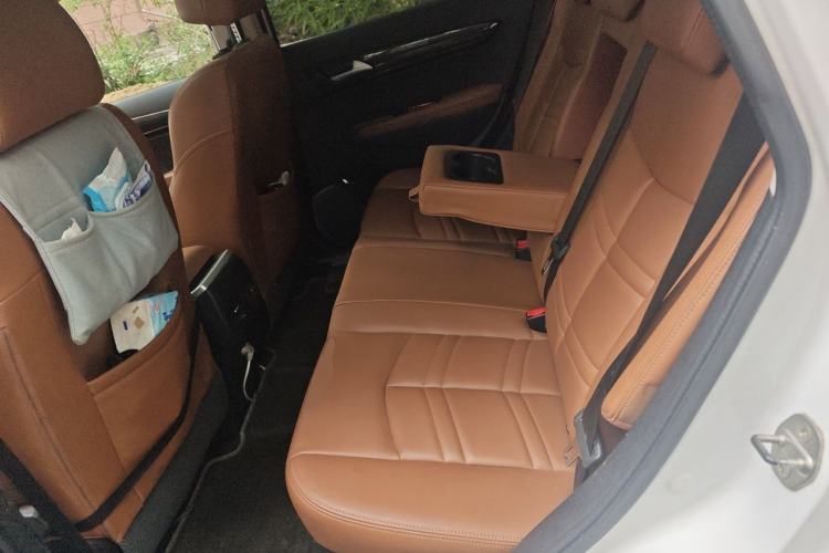 Used Dongfeng Fengdu MX5 2016 2.0L Automatic Flagship Edition Left Rear Seat
