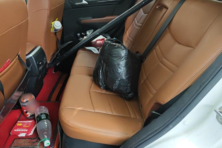 Used Dongfeng Fengdu MX5 2016 2.0L Automatic Flagship Edition Left Rear Seat