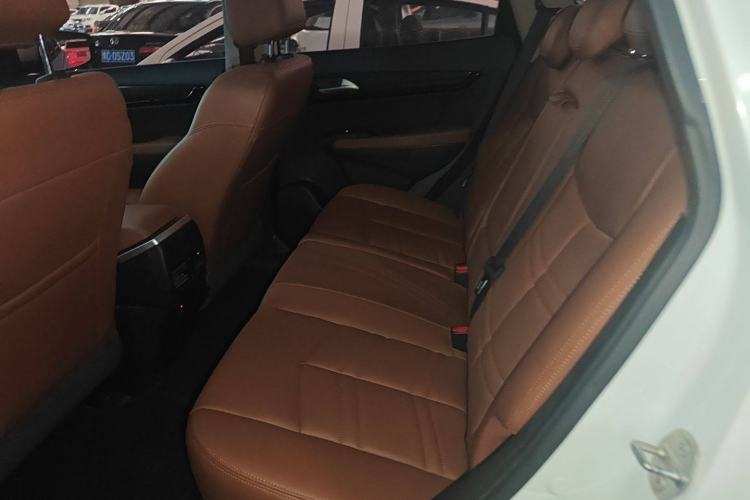 Used Dongfeng Fengdu MX5 2016 2.0L Automatic Flagship Edition Left Rear Seat