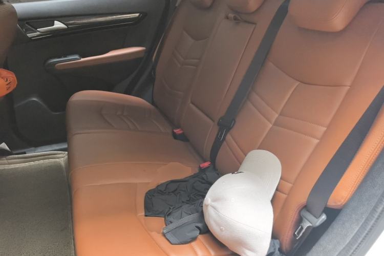 Used Dongfeng Fengdu MX5 2016 2.0L Automatic Flagship Edition Left Rear Seat