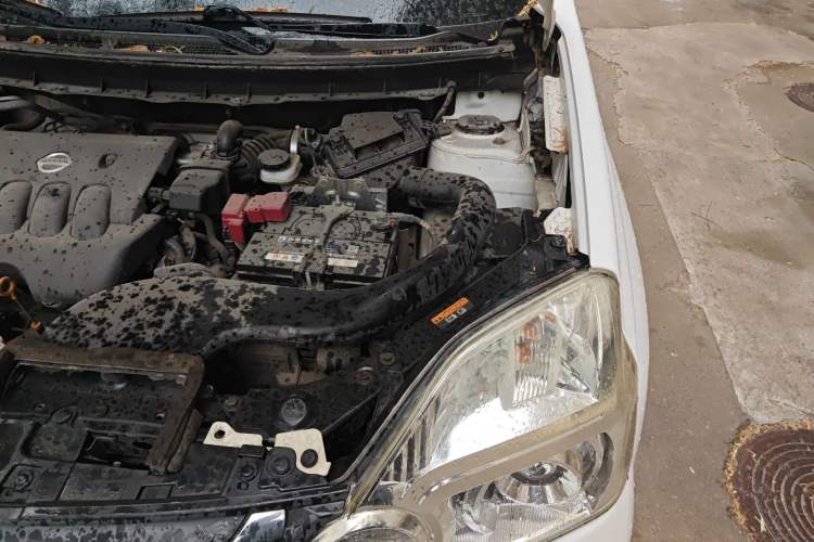 Used Dongfeng Fengdu MX6 2015 2.0L CVT Two-Wheel Drive Dream Edition Engine Bay Left