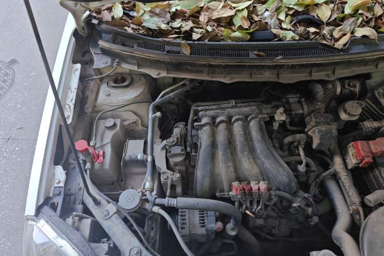 Used Dongfeng Fengdu MX6 2016 2.0L CVT Two-Wheel Drive Dream Edition Engine Bay Right