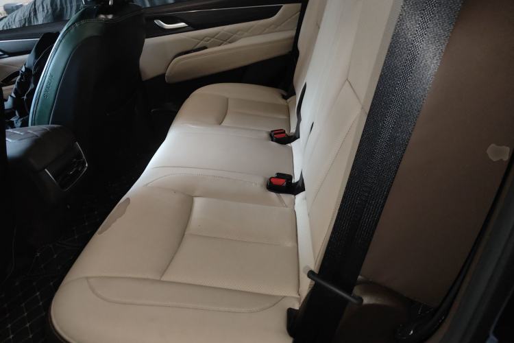 Used Dongfeng Fengdu Paladin 2023 2.0T Four-Wheel Drive Smart Edition Left Rear Seat
