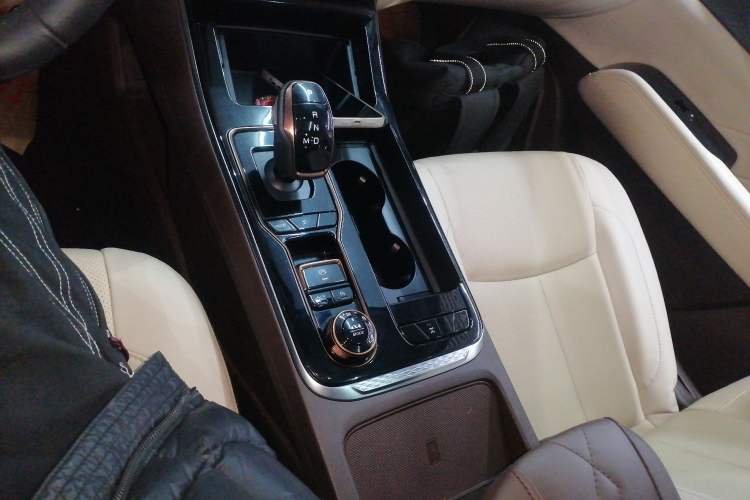 Used Dongfeng Fengdu Paladin 2023 2.0T Four-Wheel Drive Luxury Edition Gear Lever