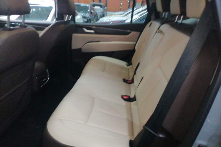 Used Dongfeng Fengdu Paladin 2023 2.0T Four-Wheel Drive Luxury Edition Left Rear Seat