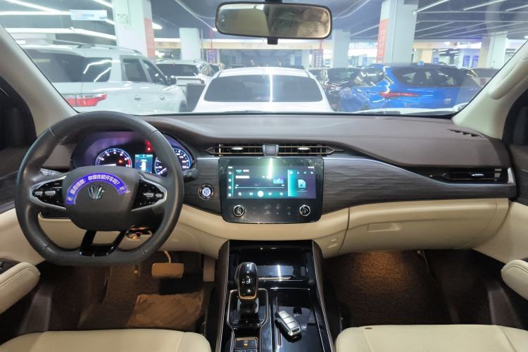 Used Dongfeng Fengdu Paladin 2023 2.0T Four-Wheel Drive Luxury Edition Center Console