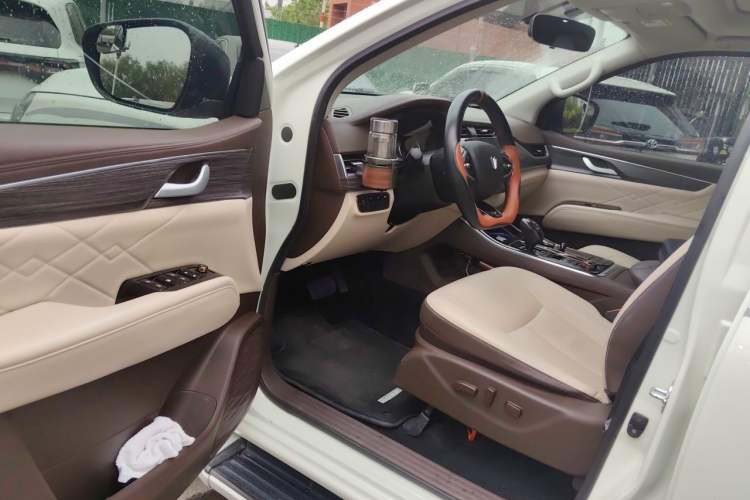 Used Dongfeng Fengdu Paladin 2023 2.0T Four-Wheel Drive Luxury Edition Driver Seat