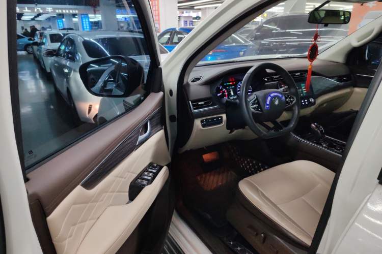 Used Dongfeng Fengdu Paladin 2023 2.0T Four-Wheel Drive Luxury Edition Driver Seat