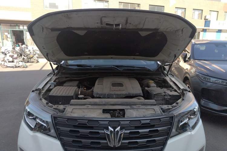 Used Dongfeng Fengdu Paladin 2023 2.0T Four-Wheel Drive Luxury Edition Engine Bay