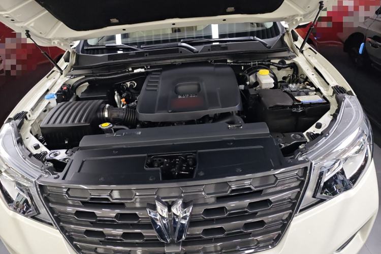 Used Dongfeng Fengdu Paladin 2023 2.0T Four-Wheel Drive Smart Edition Engine Bay