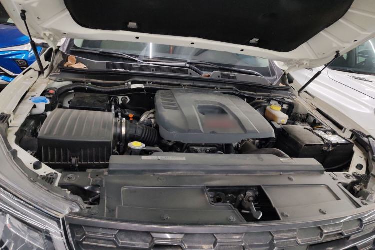 Used Dongfeng Fengdu Paladin 2023 2.0T Four-Wheel Drive Luxury Edition Engine Bay