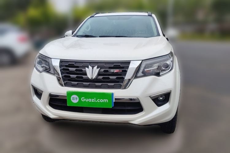 Used Dongfeng Fengdu Paladin 2023 2.0T Four-Wheel Drive Luxury Edition Front